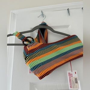 Solid Stripe Rainbow Bikini